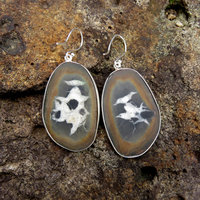 Septarian Earrings, Dragonstone Fossil Gemstone, 925 Sterling Silver 
