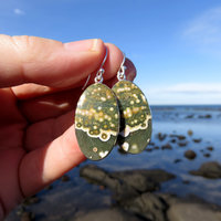Ocean Jasper Earrings, Orbicular Oval Cabochon, 925 Sterling Silver
