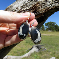 Septarian Earrings Dragonstone Oval Horse Cabochon 925 Sterling Silver 