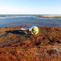 Ocean Jasper Ring Size 7, Spotty Round Cabochon, 925 Sterling Silver