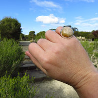Coral Ring Size 6, Indonesian Fossil Gemstone, 925 Sterling Silver 