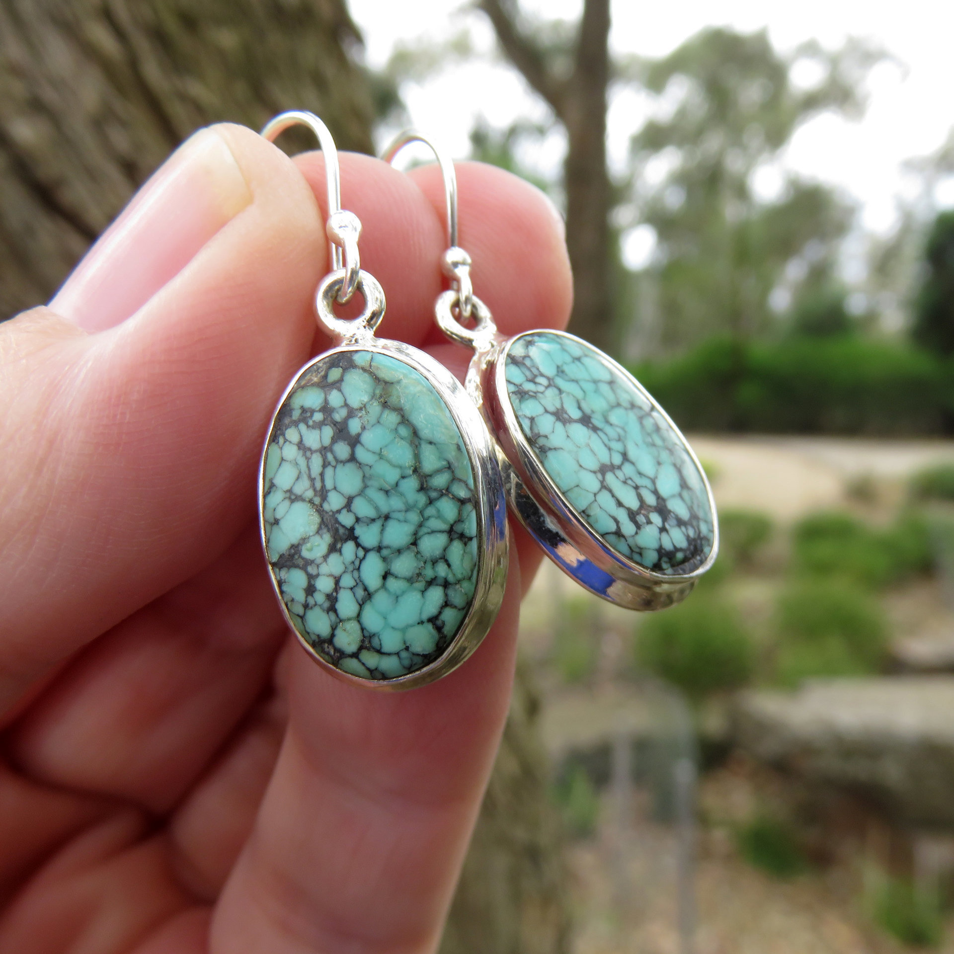 Turquoise Earrings, Tibetan Oyster Oval Cabochon, 925 Sterling Silver