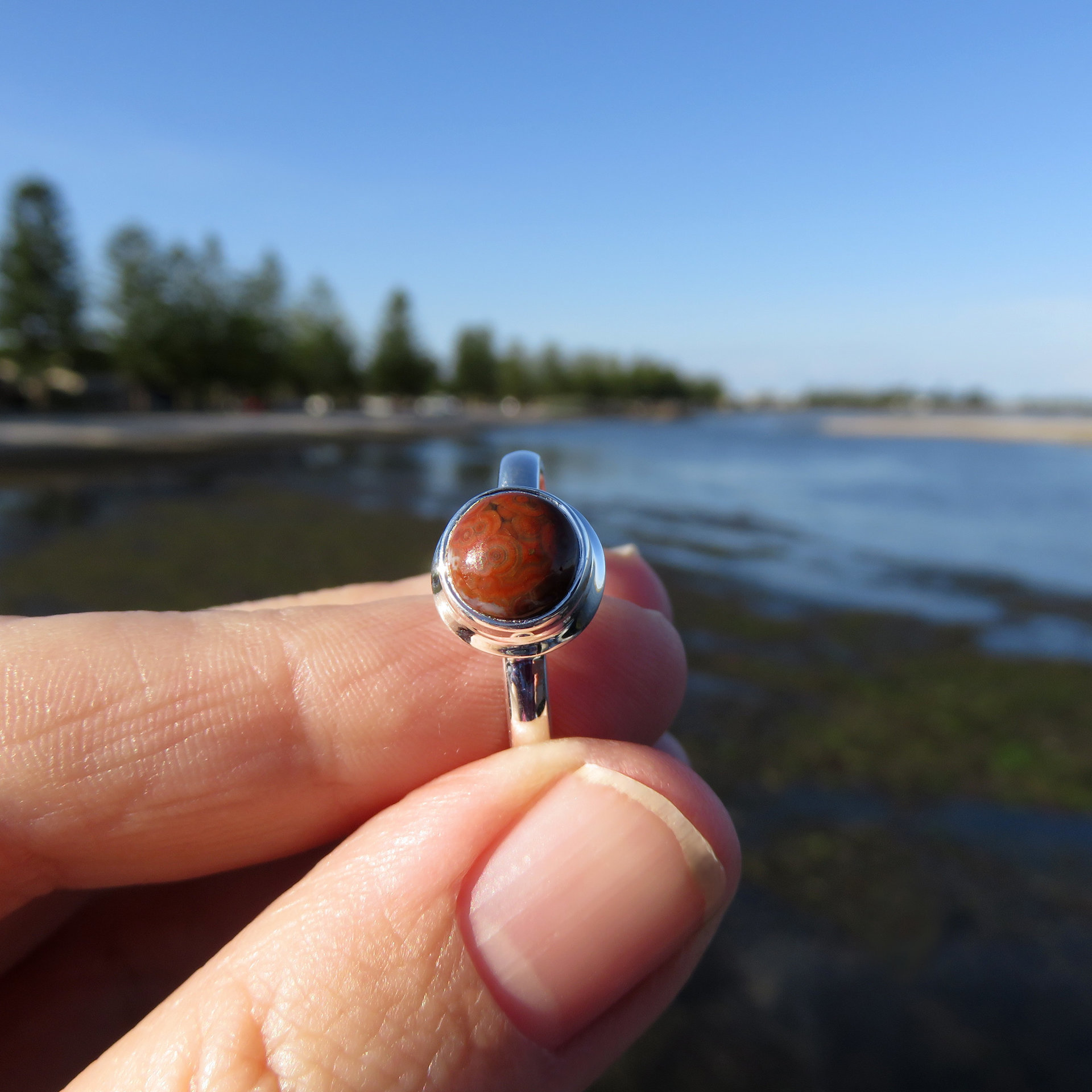 Ocean Jasper Ring Size 10, Brown Round Cabochon, 925 Sterling Silver 