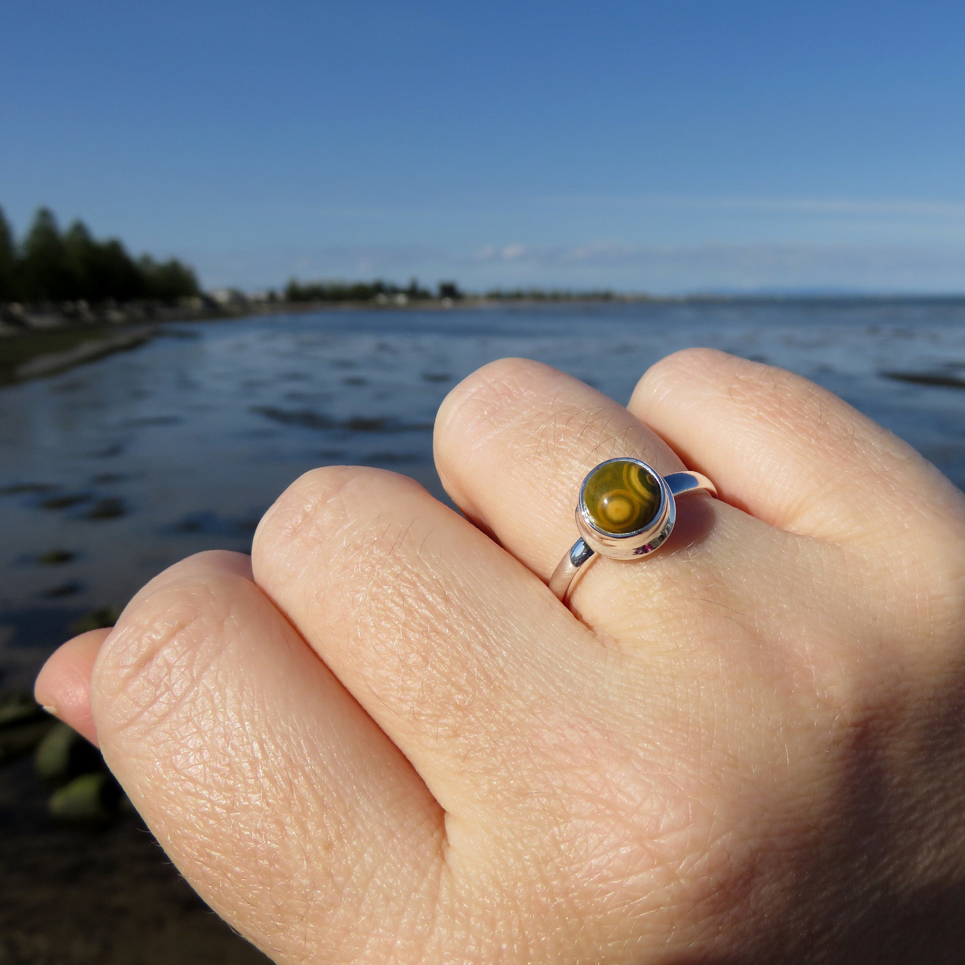 Ocean Jasper Ring Size 7, Orbicular Round Cabochon, 925 Sterling Silver