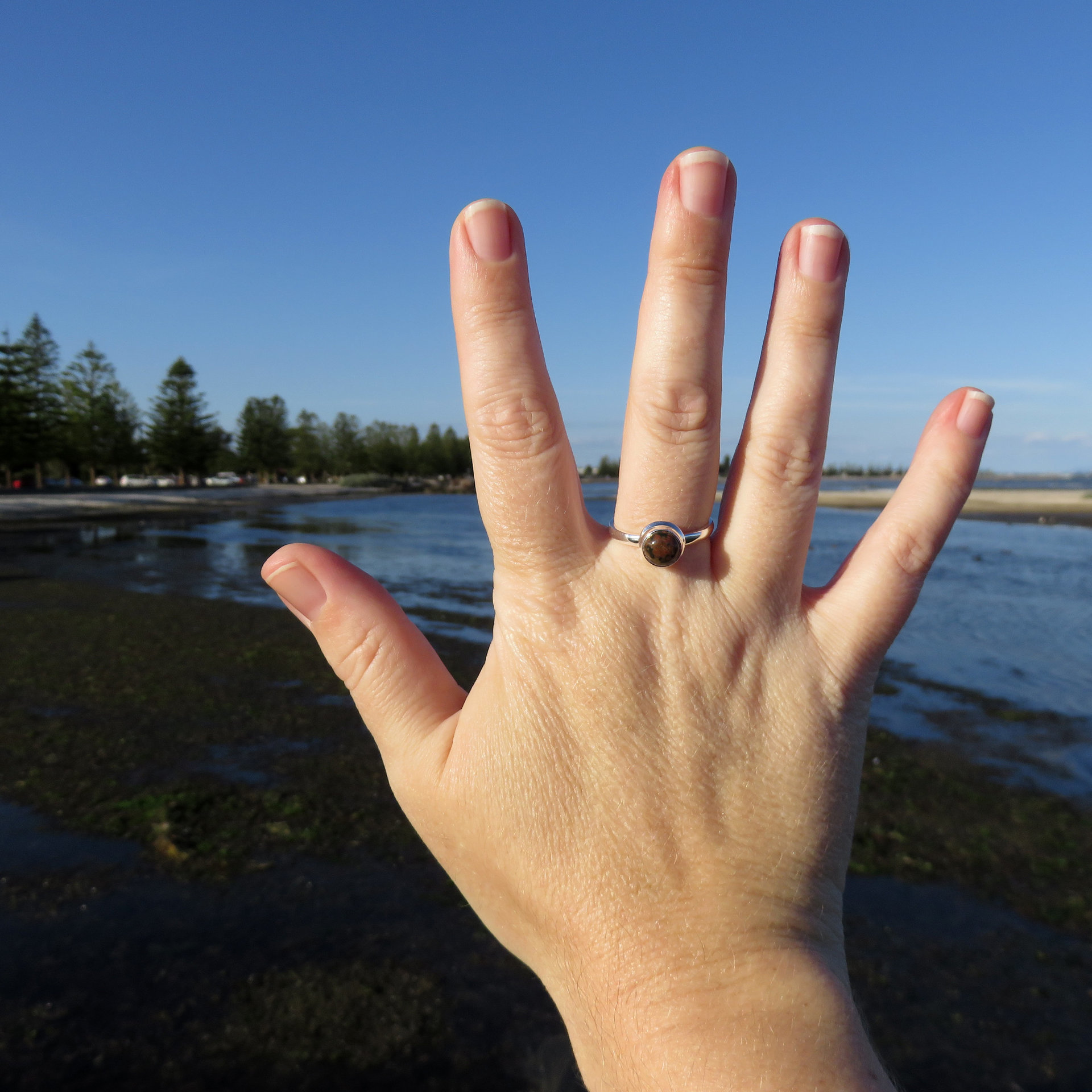 Ocean Jasper Ring Size 9, Pink & Black Gemstone, 925 Sterling Silver